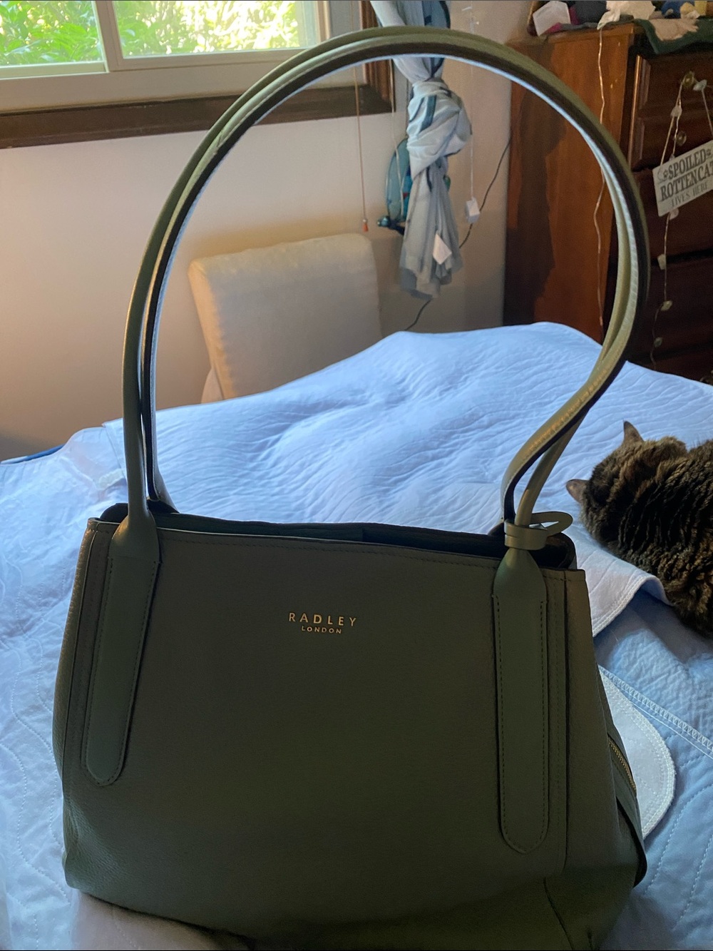 Radley London Sage Green Tote Bag New no tags - Picture 14 of 16